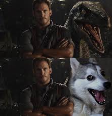 See the jurassic world zookeeper meme here. Pun Dog Raptor Jurassic Park Know Your Meme