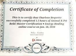 Pin By Charlene B On Reiki Certifications Reiki Healing Energy Healing Unique Items Products