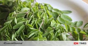 Khasiat daun kelor untuk wajah ini bisa kamu dapatkan, sebab di dalam daun sehingga kalian jauh dari jerawat dan kanker kulit akibat radikal bebas. Cara Mengolah Daun Kelor Yang Dipercaya Bisa Tangkal Virus Corona
