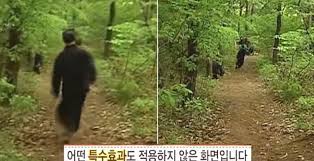 해변구이 이미지