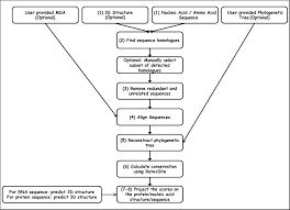 A codon is a trinucleotide sequence of dna or rna that corresponds to a specific amino acid. The Consurf Server