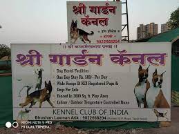 We did not find results for: Universal Kennels Talegaon Dabhade Dog Hostels In Pune Justdial