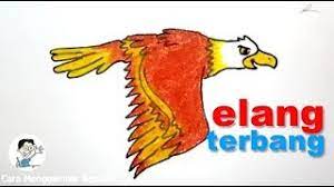 We did not find results for: Cara Menggambar Elang Terbang Youtube