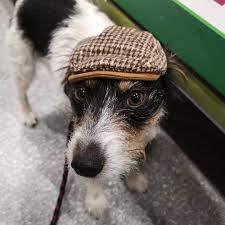 This Makes Me A Peaky Blinder Right