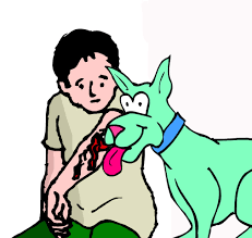 Interesting Facts About Dogs Top Pet Facts Yetstar