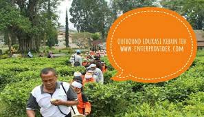 Kabupaten pasuruan dan exit tol lawang, kabupaten malang lokasi strategis, dekat dengan pasar lawang yang buka 24 jam, dekat dengan tempat wisata seperti kebun teh lawang serta. Outbound Edukasi Kebun Teh Wonosari Lawang Untuk Tk Dan Sd