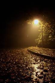 Trees Prepared For A Long Winter S Rest By Releasing The Very Appendages They D Spawned An Dark Academia Aesthetic Wallpaper Night Photography Rain Photography