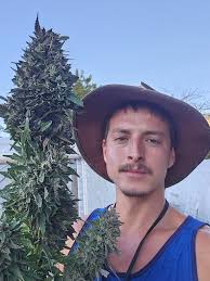 Daniel Gutierrez (@daniel.gutierrez.1414) • Instagram photos and videos