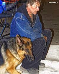 A woman offered food to a hungry veteran and his dog - but a month later,  her boss hauled her into his office, furious, saying, “IT'S ABOUT WHAT YOU  DID A MONTH