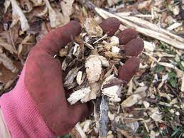 Fresh mulch 13 /26 like a fresh coat of paint in a room, a fresh load of mulch spread over your landscaping beds instantly makes your yard look crisp, clean, and beautiful. Types Of Mulch And Where To Use Them Hgtv