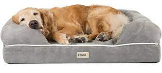 Memory foam orthopaedic dog bed. 8 Best Memory Foam Dog Beds For 2019 The Dog People By Rover Com
