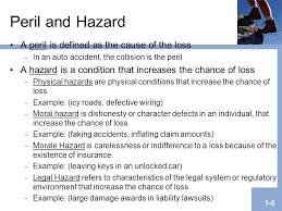 Basics Of Risk Agenda Meaning Of Risk Chance Of Loss Peril And Hazard Basic Categories Of Risk Types Of Pure Risk Burden Of Risk On Society Methods Ppt Download