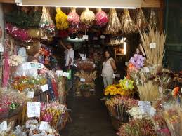 Maybe you would like to learn more about one of these? A Dried Flower Shop Photo