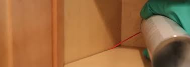 How to kill bed bugs in your house quickly? Jt Eaton Kills Bed Bug Plus Spray Aerosol Solutions Pest Lawn