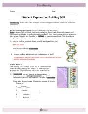 Maybe you would like to learn more about one of these? Building Dna Gizmo Modified 1 Doc Name Date Student Exploration Building Dna Vocabulary Double Helix Dna Enzyme Mutation Nitrogenous Base Nucleoside Course Hero