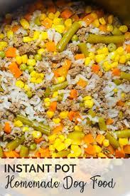 How To Make Easy Homemade Dog Food Homemade Dog Food Crockpot Healthy Dog Food Recipes Raw Dog Food Recipes
