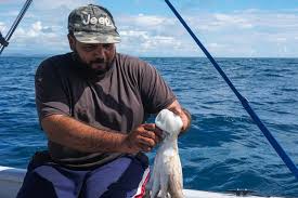 Latest on eloy matos velez including news, stats, videos, highlights and more on espn. Puerto Rico S Traditional Fishermen Fight For A Future