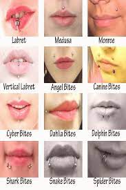Spider Bites Monroe Labret Medusa Piercings I Would Consider Doing In Order Spider Bites Monroe Labret Medusa Piercings I W Lip Piercing Medusa Piercing Labret