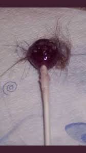 Mike On Twitter Someone Said Trae Young Looks Like A Lollipop Rolling Around On The Carpet