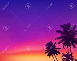 Find the perfect sunset palm trees stock photos and editorial news pictures from getty images. Dark Palm Trees Silhouettes On Violet And Pink Colors Sunset Royalty Free Cliparts Vectors And Stock Illustration Image 136110637