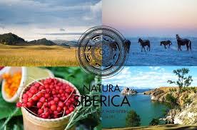 Search results for natura siberica logo vectors. Meet The Brand Natura Siberica