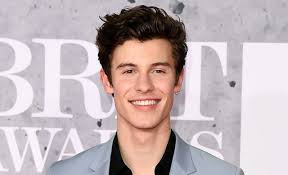 How much aaliyah mendes's net worth. Shawn Mendes Net Worth In 2021 How Rich Is The Canadian Musician