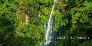 Jun 23, 2021 · julis ependi, pengelola air terjun dewi selendang sekaligus salah satu pengurus inti kelompok sadar wisata (pokdarwis) desa setempat mengatakam harga tiket masuk rp5.000 per orang termasuk bayar. Senaru Waterfall Tour Soft Trek On The Foot Of Rinjani Mountain