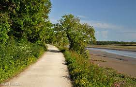 Camels have thick lips so they can eat the prickly desert plants with out feeling pain. Circular Walks Around The Camel Trail