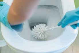 Banyo temizligi i輅n en iyi deterjan. Banyo Temizligi Icin Pratik Bilgiler Klozet Dusakabin Zemin Nasil Temizlenir Evim