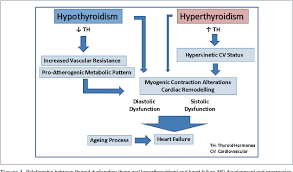 Pdf Relationship Between Thyroid Dysfunction And Heart Failure In Older People Semantic Scholar