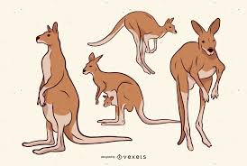 Brown Kangaroo Illustration Set Ad Affiliate Ad Kangaroo Illustration Set Brown Kangaroo Illustration Illustration Animal Drawings