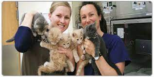 552 nw 3rd st, newport (or), 97365, united states. Animal Medical Care Of Newport Oregon Veterinarian For Family Pets Farm Exotic Avian And Marine Mammals