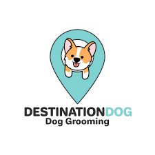 The following will explain why each pet receives personal attention by each step taken during his or her groom. The 10 Best Pet Groomers In Willenhall Walsall Last Updated June 2021 Starofservice