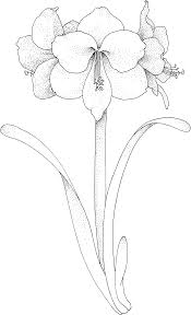 Cherry tree blossom coloring page. Beautiful Printable Flowers Coloring Pages