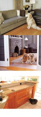 Behavior Training 116361 Keep Dogs Off Furniture Pet Scat Mat Training Dog Cat Sofa Couch Indoor Keeping Buy I Scat Mat Keep Dog Off Couch Cat Training Tricks