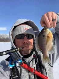 Yellow perch caught in private Nebraska lake