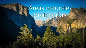 Son áreas que conservan la diversidad biológica y los procesos naturales en su estado original. Areas Naturales Protegidas Del Mundo Youtube