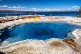 Iconic yellowstone hiking trails, like the upper geyser boardwalk next to old faithful, are must dos bison and other wildlife are encountered while hiking in yellowstone, and visitors should keep their. Best Hikes In Yellowstone National Park Trails Worth Hiking Thrillist