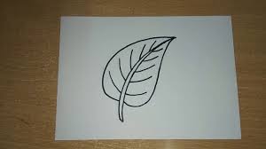 See how they look like sideways 'v's. How To Draw Leaf Draw Leaves Easy Step By Step Drawing For Kids Youtube