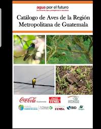 En el año de 1782 fue puesta la primera piedra de la catedral, obra dirigida por marcos ibañez, quien. Renatta Ruano Sur Twitter Solo Hay Que Googlear Tucaneta Verde Para Saber Que Es Una Especie Que Forma Parte Del Catalogo De Aves De La Region Metropolitana Nativa De Guatemala Soselsocorro