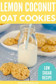 Lemon Honey Coconut Oat Cookies Low In Sugar But Yummy Recipe Oat Cookies Oatmeal Coconut Cookies Low Sugar Snacks