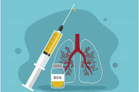Apa yang terjadi setelah 24 jam penyuntikan? Uk Study Trials The Bcg Vaccine For Protection From Covid 19 Nusa Daily