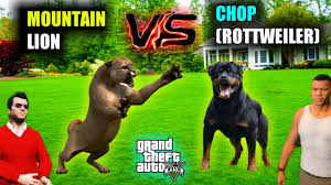 Maybe you would like to learn more about one of these? Download 5 Gta V Chop Vs Lion Mp4 Mp3 3gp Naijagreenmovies Fzmovies Netnaija