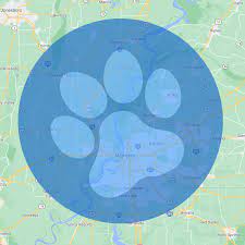 Since 1999 they have been the original and premier pooper scooper and dog waste removal service. Memphis Tn Pet Waste Removal Doo Doo Pros Dog Poop Cleanup Doo Doo Pros