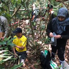 Contextual translation of hutan simpan into english. Aktiviti Persampelan Bagi Projek Pembangunan Pangkalan Data Dna Bagi Khazanah Hutan Negara Di Hutan Simpan Pahang Dan Kelantan Jabatan Kimia Malaysia