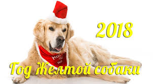 2018 год кого по восточному календарю в чем встречать 2018 God Kakogo Zhivotnogo Po Goroskopu Vostochnogo Kalendarya