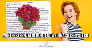 Winterstern Aldi Hat Die Perfekte Antwort Auf Diesen