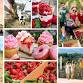 Big Apple Strawberry Social
