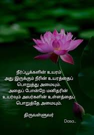 Pin By Bharghavi Sankar On Tamil Quotes Tamil Love Quotes Inspirational Quotes Words