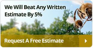 Jun 01, 2021 · orange county coronavirus cases have jumped 27% in the past week and have more than doubled in the past two weeks, according to data from the orange county health care agency. Live Bee Removal We Save Bees